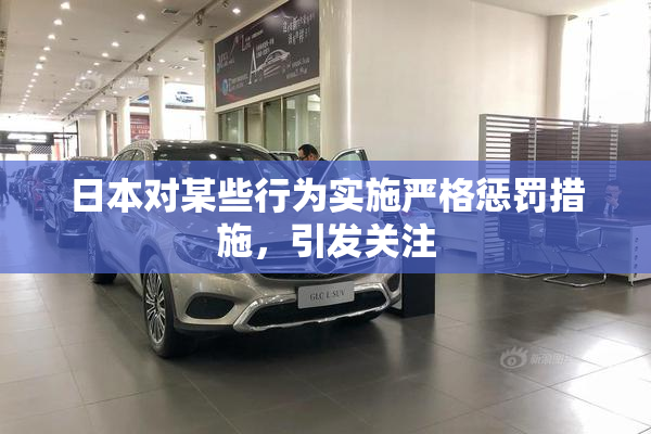 日本对某些行为实施严格惩罚措施，引发关注