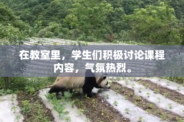 在教室里，学生们积极讨论课程内容，气氛热烈。