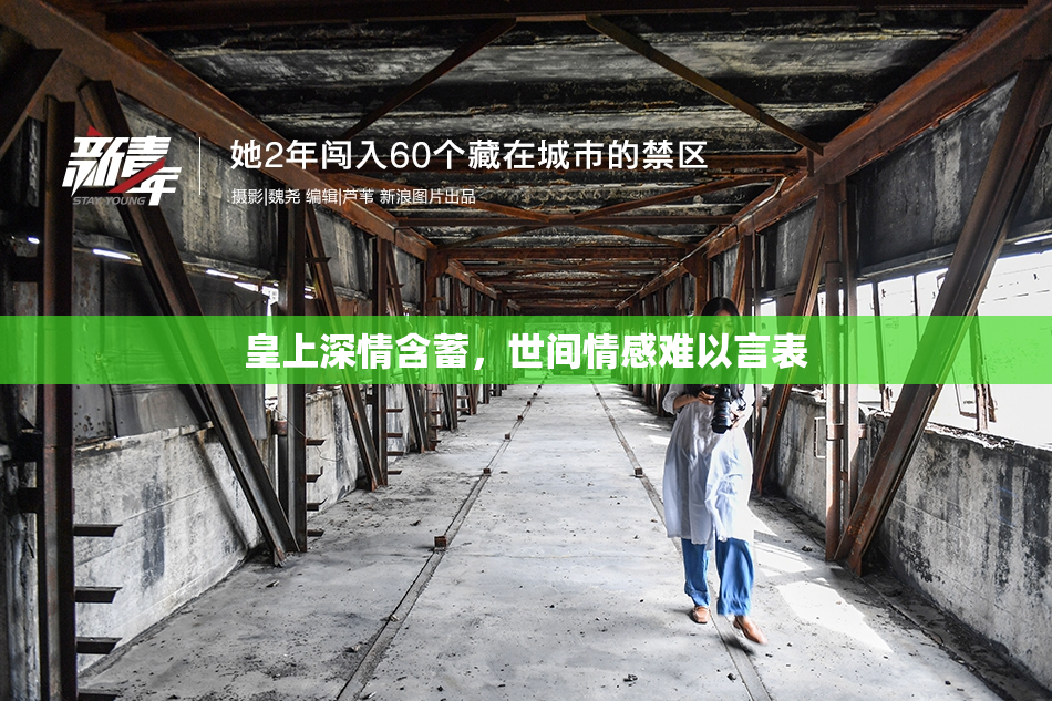 皇上深情含蓄，世间情感难以言表