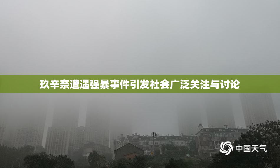 玖辛奈遭遇强暴事件引发社会广泛关注与讨论