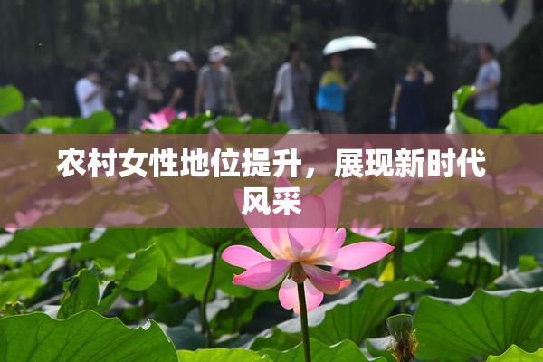 农村女性地位提升，展现新时代风采