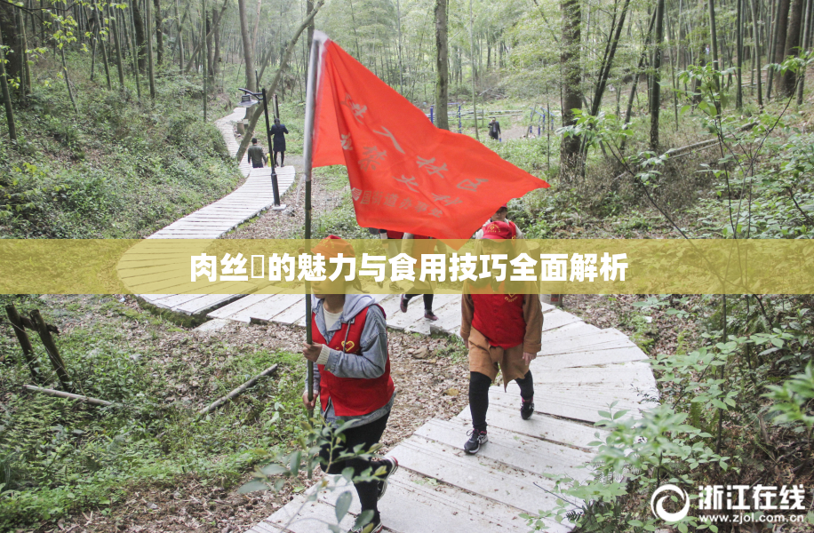 肉丝祙的魅力与食用技巧全面解析