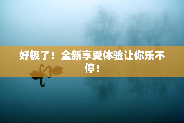 好极了！全新享受体验让你乐不停！