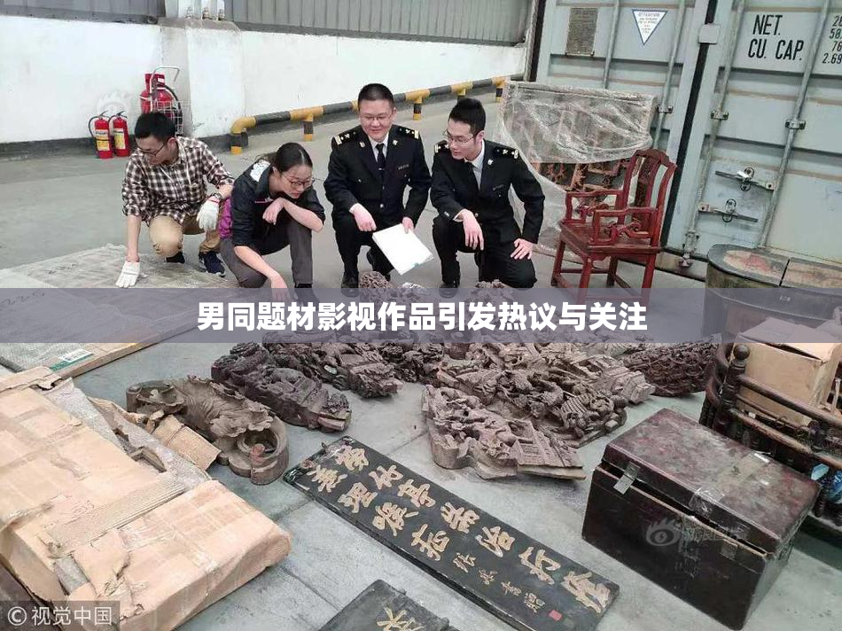 男同题材影视作品引发热议与关注