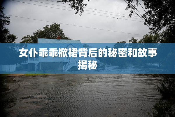 女仆乖乖掀裙背后的秘密和故事揭秘