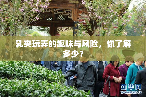 乳夹玩弄的趣味与风险，你了解多少？