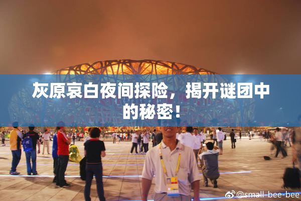 灰原哀白夜间探险，揭开谜团中的秘密！