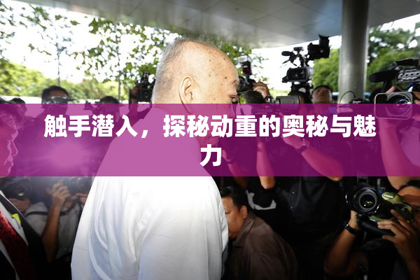 触手潜入，探秘动重的奥秘与魅力