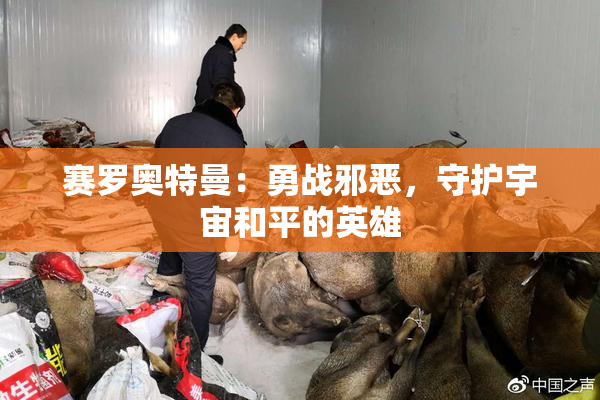 赛罗奥特曼：勇战邪恶，守护宇宙和平的英雄