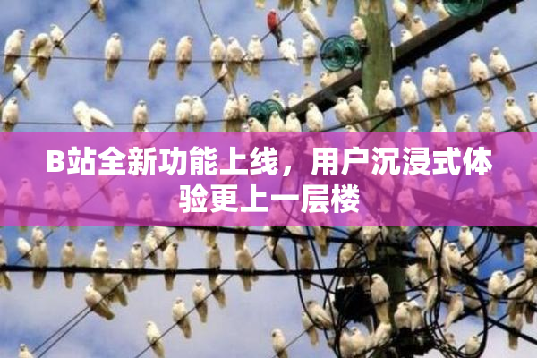 B站全新功能上线，用户沉浸式体验更上一层楼