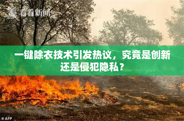 一键除衣技术引发热议，究竟是创新还是侵犯隐私？
