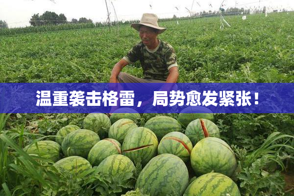 温重袭击格雷，局势愈发紧张！