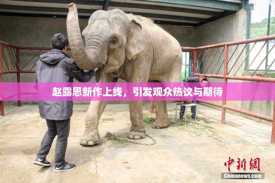 赵露思新作上线，引发观众热议与期待