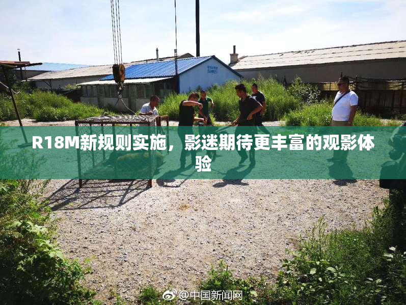 R18M新规则实施，影迷期待更丰富的观影体验