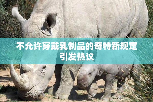 不允许穿戴乳制品的奇特新规定引发热议