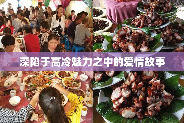 深陷于高冷魅力之中的爱情故事