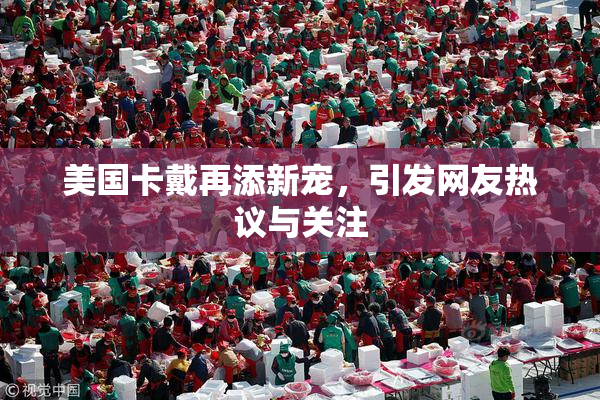 美国卡戴再添新宠，引发网友热议与关注