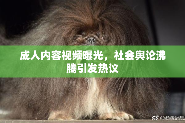 成人内容视频曝光，社会舆论沸腾引发热议
