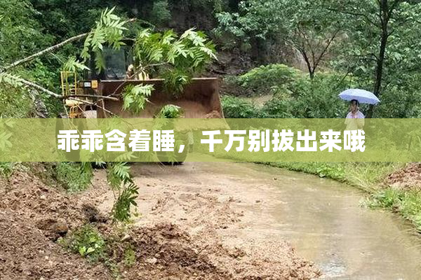 乖乖含着睡，千万别拔出来哦