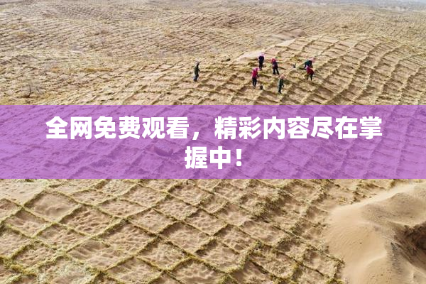全网免费观看，精彩内容尽在掌握中！