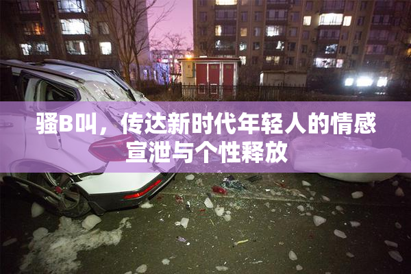 骚B叫，传达新时代年轻人的情感宣泄与个性释放