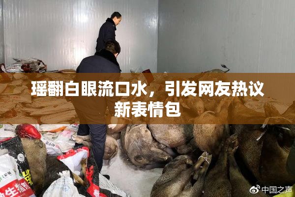 瑶翻白眼流口水，引发网友热议新表情包