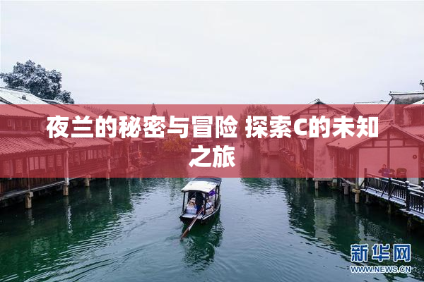 夜兰的秘密与冒险 探索C的未知之旅