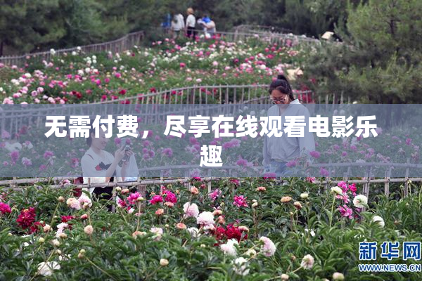 无需付费，尽享在线观看电影乐趣