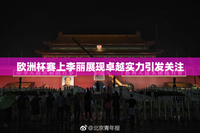 欧洲杯赛上李丽展现卓越实力引发关注