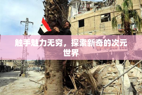 触手魅力无穷，探索新奇的次元世界