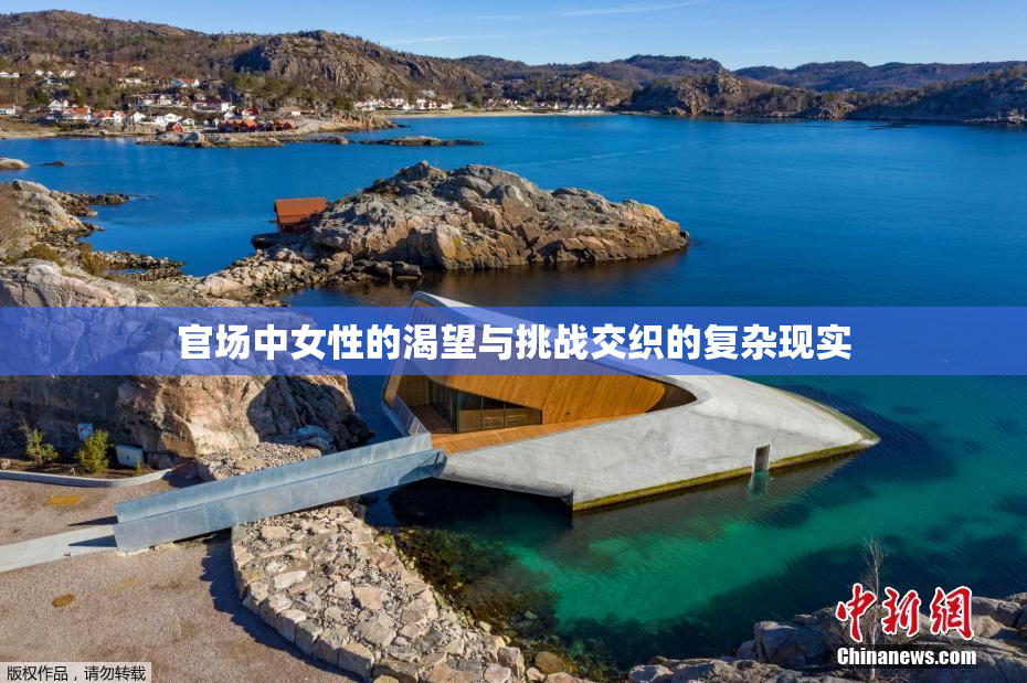 官场中女性的渴望与挑战交织的复杂现实