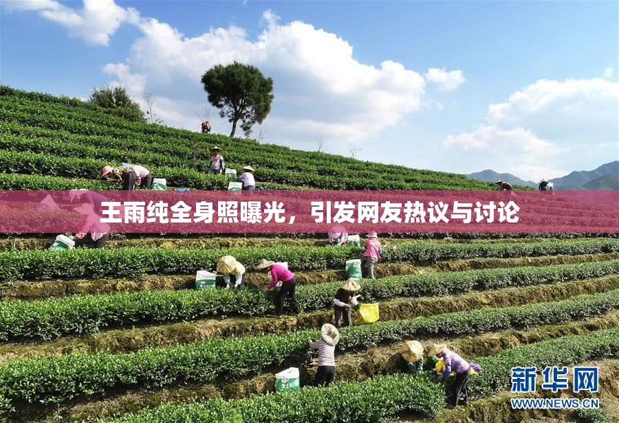王雨纯全身照曝光，引发网友热议与讨论