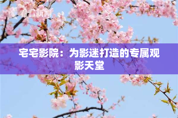 宅宅影院：为影迷打造的专属观影天堂