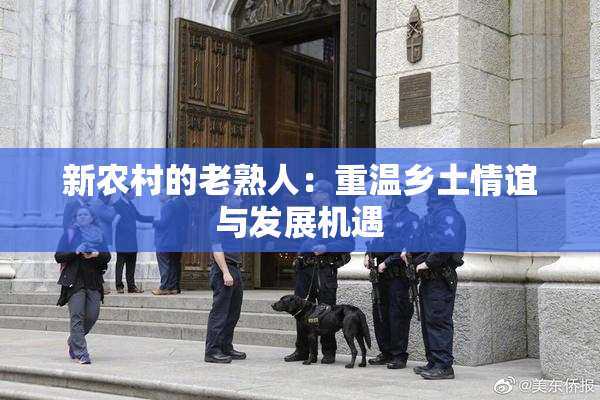 新农村的老熟人：重温乡土情谊与发展机遇