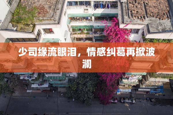 少司缘流眼泪，情感纠葛再掀波澜