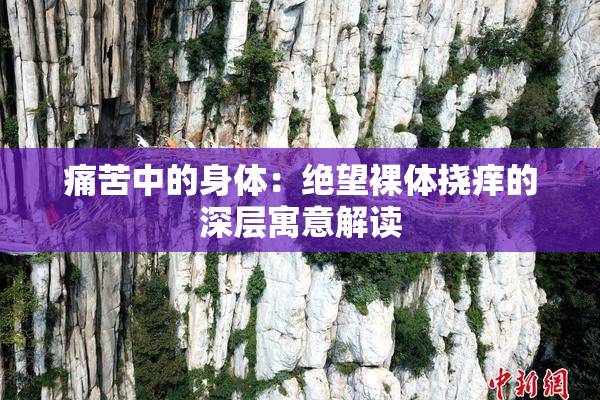 痛苦中的身体：绝望裸体挠痒的深层寓意解读