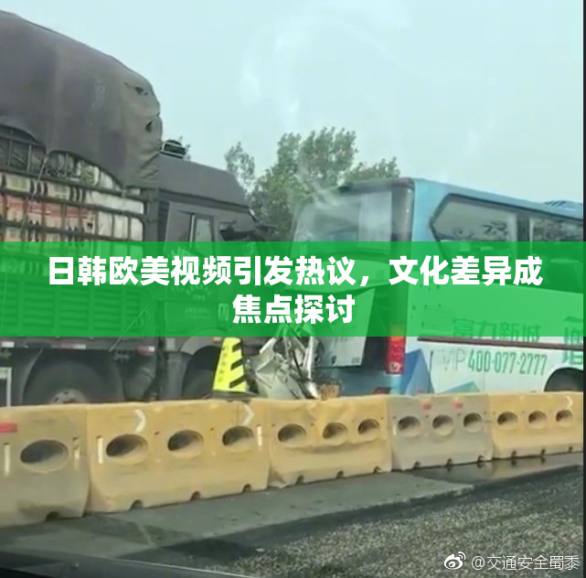 日韩欧美视频引发热议，文化差异成焦点探讨