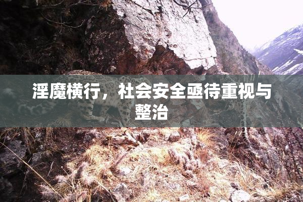 淫魔横行，社会安全亟待重视与整治