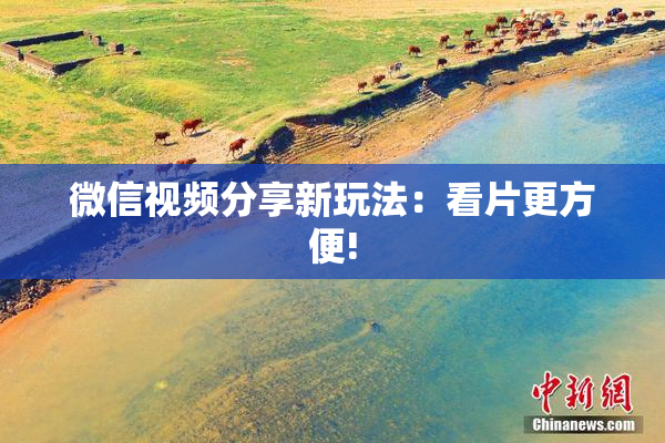 微信视频分享新玩法：看片更方便!
