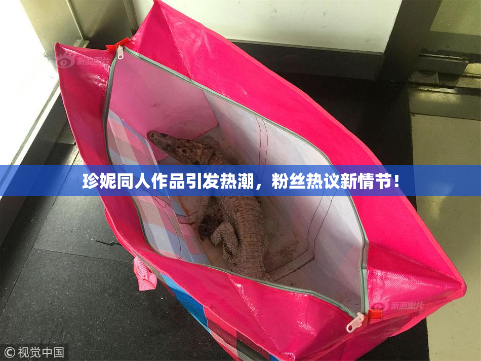 珍妮同人作品引发热潮，粉丝热议新情节！