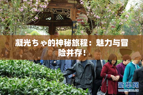 凝光ちゃ的神秘旅程：魅力与冒险并存！