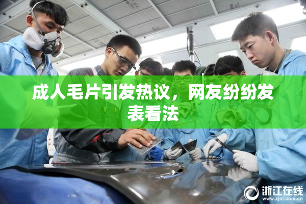 成人毛片引发热议，网友纷纷发表看法