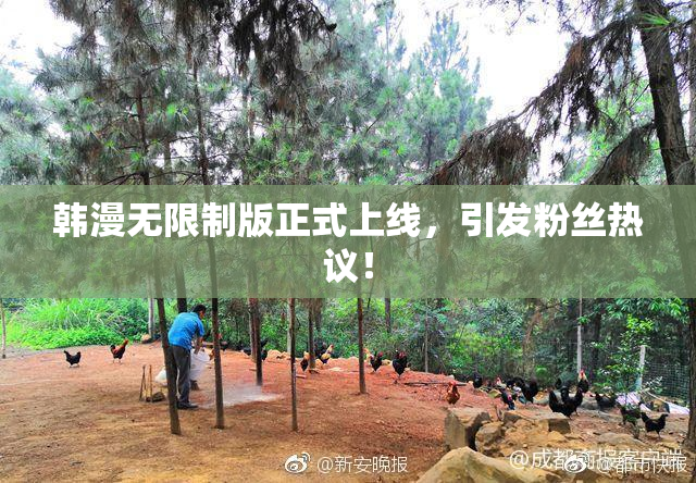 韩漫无限制版正式上线，引发粉丝热议！