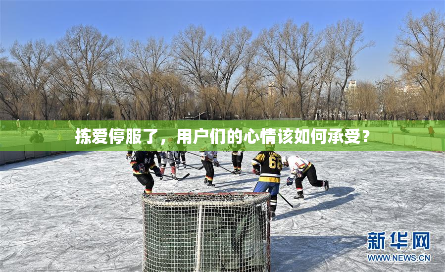 拣爱停服了，用户们的心情该如何承受？