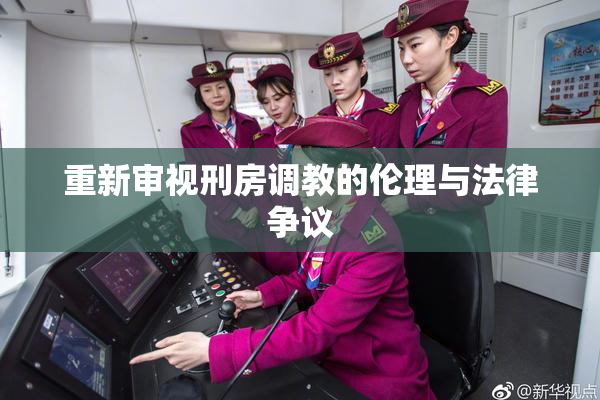 重新审视刑房调教的伦理与法律争议