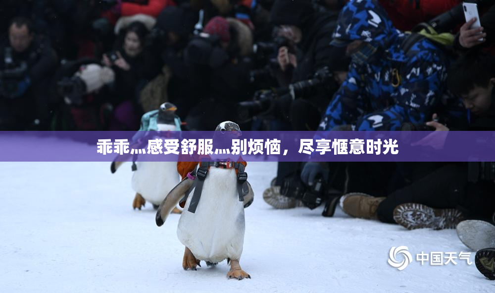 乖乖灬感受舒服灬别烦恼，尽享惬意时光