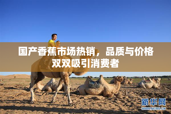 国产香蕉市场热销，品质与价格双双吸引消费者