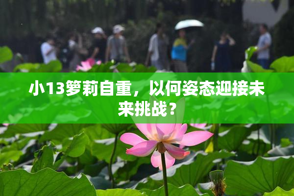 小13箩莉自重，以何姿态迎接未来挑战？