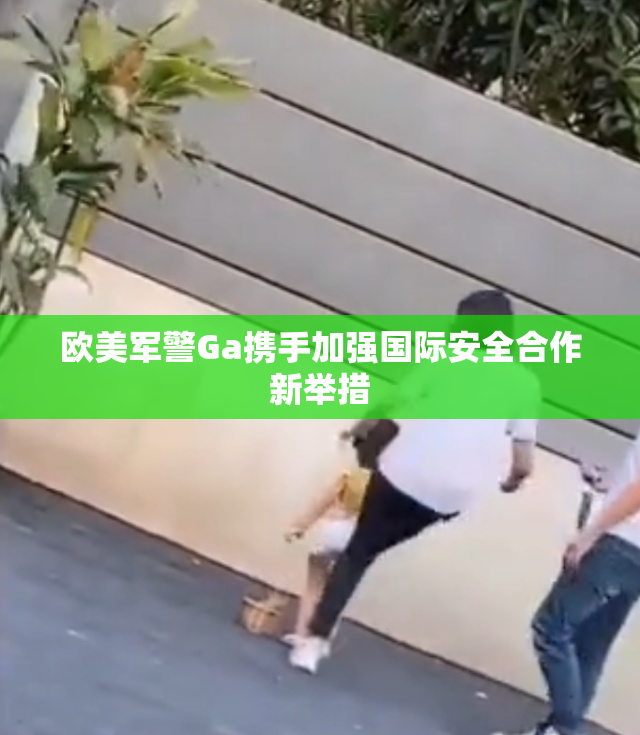 欧美军警Ga携手加强国际安全合作新举措
