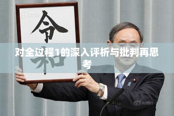 对全过程1的深入评析与批判再思考